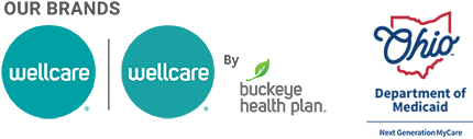 Go to Wellcare homepage
